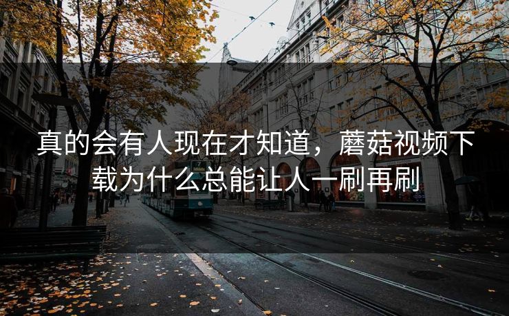 真的会有人现在才知道，蘑菇视频下载为什么总能让人一刷再刷